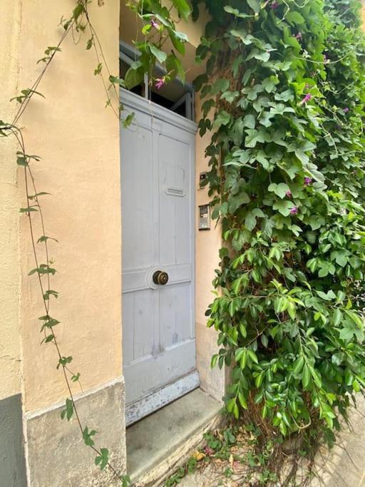 Click! Casa Lamartine Fabulous Ideal Location Walk To All!!! Cassis Exterior photo